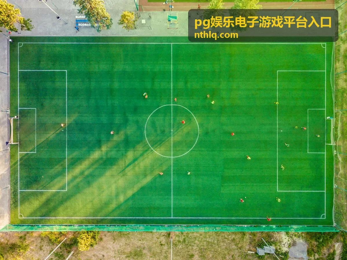 pg娱乐电子游戏平台入口公告与版本更新记录封面